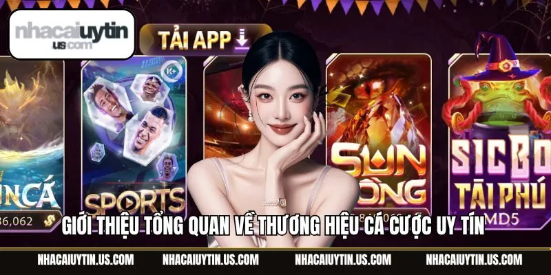 Giới thiệu tổng quan về thương hiệu cá cược uy tín 