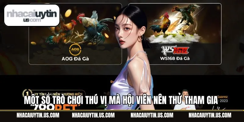 Một số trò chơi thú vị mà hội viên nên thử tham gia 