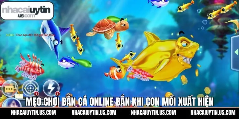 Ngắm bắn ngay khi con mồi vừa xuất hiện trên màn hình