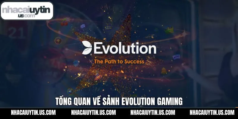 Thông tin sơ lược về sân chơi Evolution