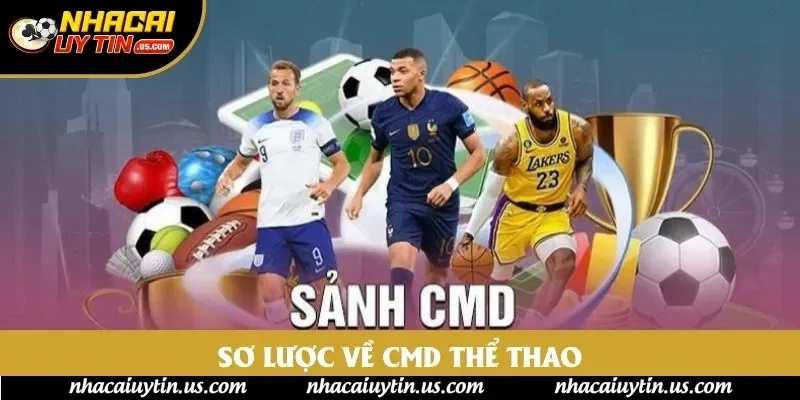 Sơ lược về CMD Thể Thao