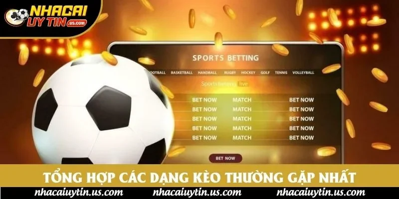 Tổng hợp các dạng kèo thường gặp nhất Tổng hợp các dạng kèo thường gặp nhất