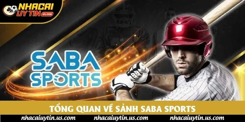 Tổng quan về sảnh Saba sports Tổng quan về sảnh Saba sports