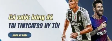 Tinycat99 - Sức Hút To Lớn Từ Thương Hiệu Cá Cược Châu Á